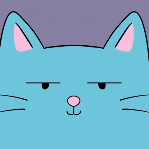 Cat Look GIF
