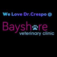 bayshorevets bayshorevets bayshorevetclinic weloveourvet welovedrcrespo GIF