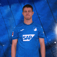 Sport Bundesliga GIF by TSG Hoffenheim