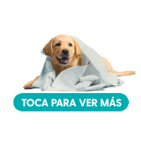 Scott Sticker by Kimberly-Clark