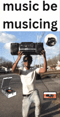 Racoon Boom Box GIF