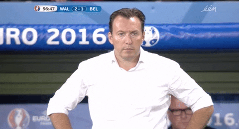 euro 2016 GIF by Sporza