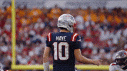 Football Nfl GIF by New England Patriots