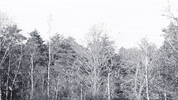 Black And White Movie GIF by BeNatural