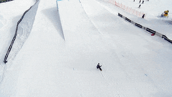 twenty one pilots rock GIF by X Games 