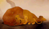 GIF by GoPlay