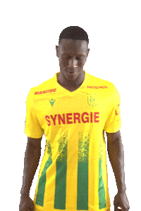 Ligue 1 Football Sticker by FCNantes