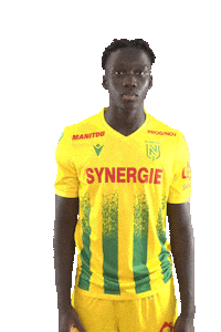 Ligue 1 Football Sticker by FCNantes