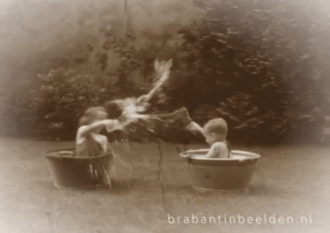 Summer Splashing GIF by Brabant in Beelden