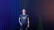 Meow Wolf Home Kit GIF by New Mexico United