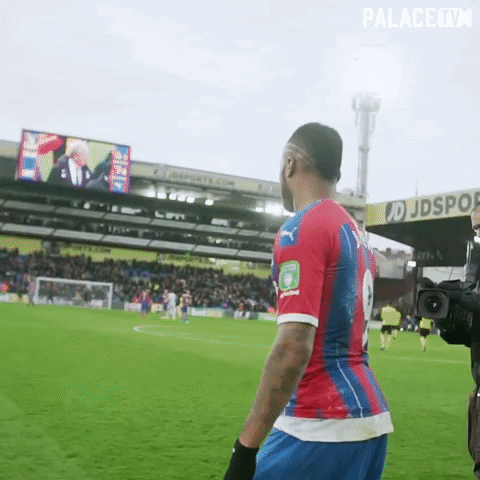 Premier League Win GIF by CPFC