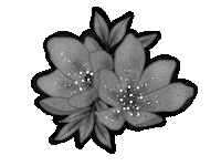 Instagram Blooming Sticker