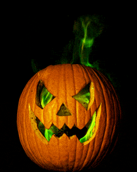 Jack O Lantern Halloween GIF by Hunter Preston