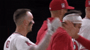 Angels Baseball Hug GIF by Los Angeles Angels