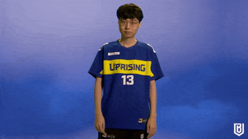 Overwatch Reaction GIF by Boston Uprising