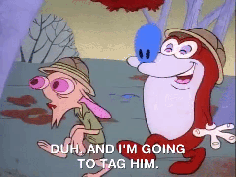 ren and stimpy nicksplat GIF