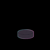 Hockey Bully GIF by HIGHspeeΔ