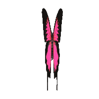 illumiinaani pink nature spring butterfly Sticker