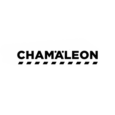 chamaeleongmbh chamaleon bodywork carrepair chamaeleon Sticker