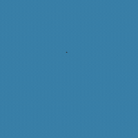 Carpet Cleaning GIF by Mr. Steam