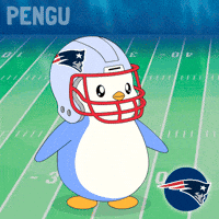 New England Patriots Football GIF by Pudgy Penguins