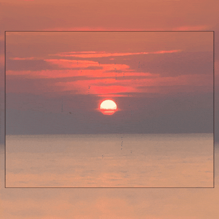 corycarnleygainesville giphygifmaker giphyattribution GIF