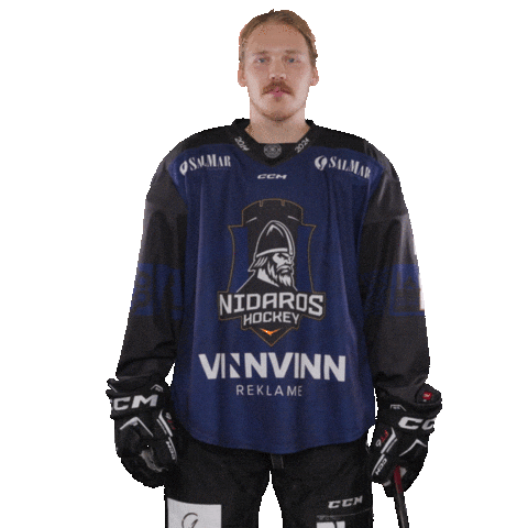 Trondheim Sticker by Nidaros Hockey