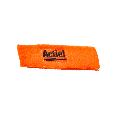 Nederlands Elftal Holland Sticker by Lidl