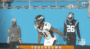 Regular Season Football GIF by NFL