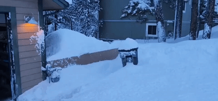 Over 11 Feet of Snow Recorded in Northern Arizona During Winter Season