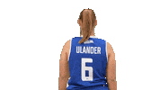 Sport Basketball Sticker by Basket_fi