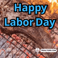 Real Estate Home GIF by Trealtorr