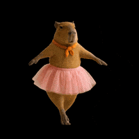 Dance Dancing GIF