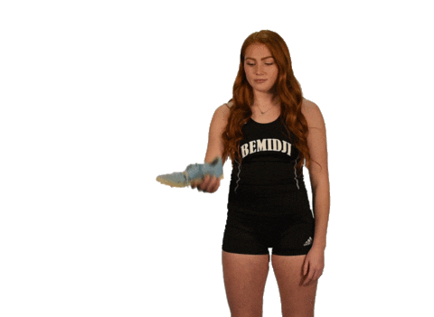 Bsu Sticker by Bemidji State Beavers