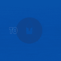 Football Nfl GIF by Seattle Seahawks