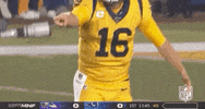 Regular Season Football GIF by NFL