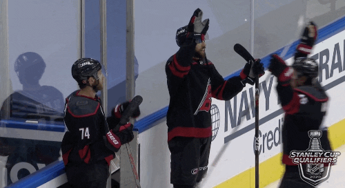 Celebrate Ice Hockey GIF by NHL