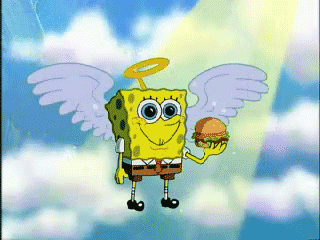 sponge GIF