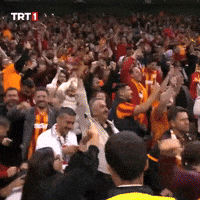 Galatasaray Gs GIF by TRT