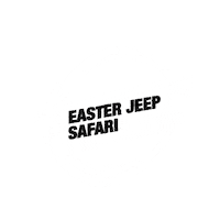 Truck Jeep Sticker by Rancho Suspension