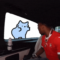 Spainnubcat GIF