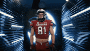 College Football GIF by gamecocksonline