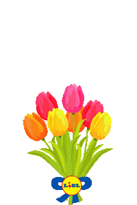 Mercator Roza Sticker by Lidl Slovenija