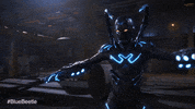 Warner Bros Beetle GIF by Warner Bros. Pictures