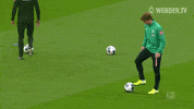 Football Soccer GIF by SV Werder Bremen