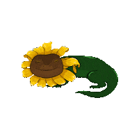 marlynnarts flower green sun yellow Sticker