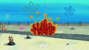 season 10 episode 6 GIF by SpongeBob SquarePants