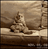 couch GIF
