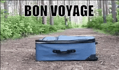 Bon Voyage GIF by memecandy
