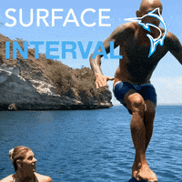 Flip Splash GIF by BMKL